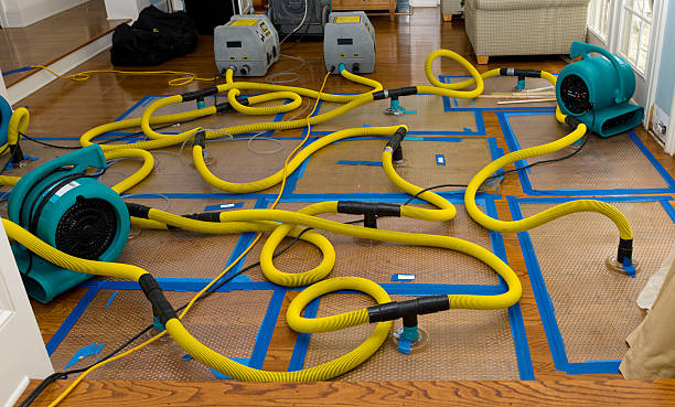 Professional Water Damage Restoration technician working in Manistee, MI